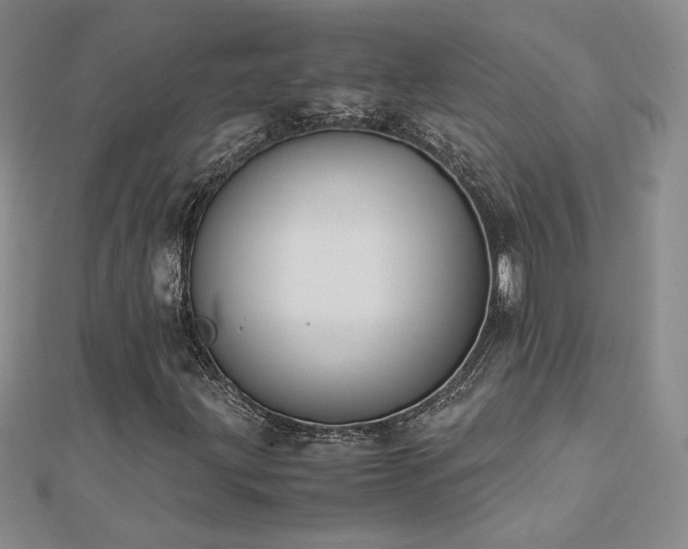 X0000113171203200909041315