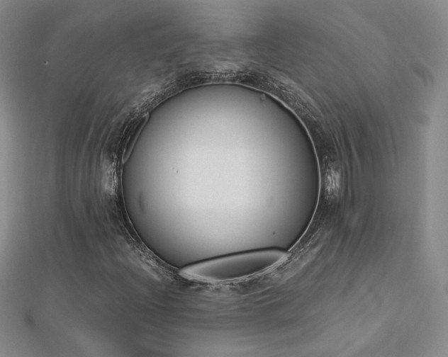 X0000113171204200909041315