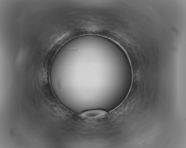 X0000113171205200909041315