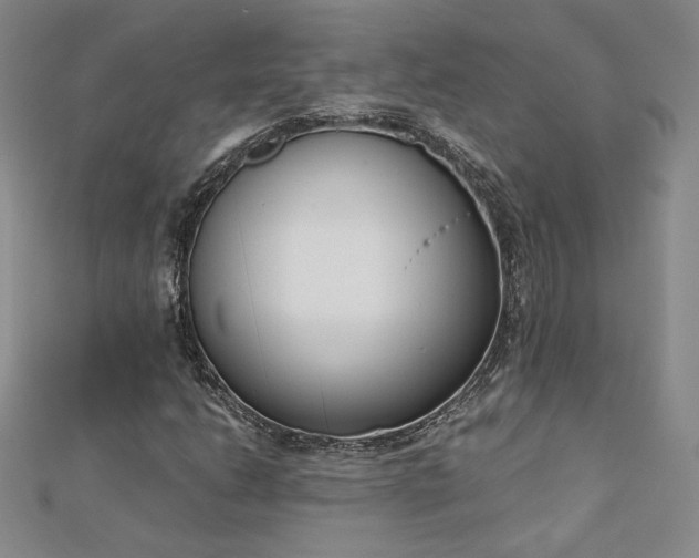X0000113171206200909041315