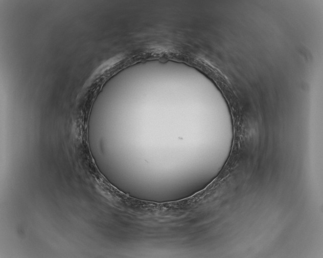 X0000113171207200909041315