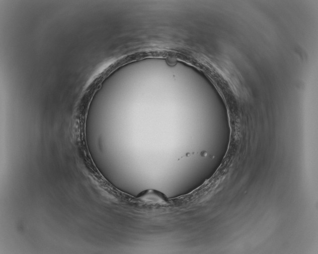 X0000113171208200909041315