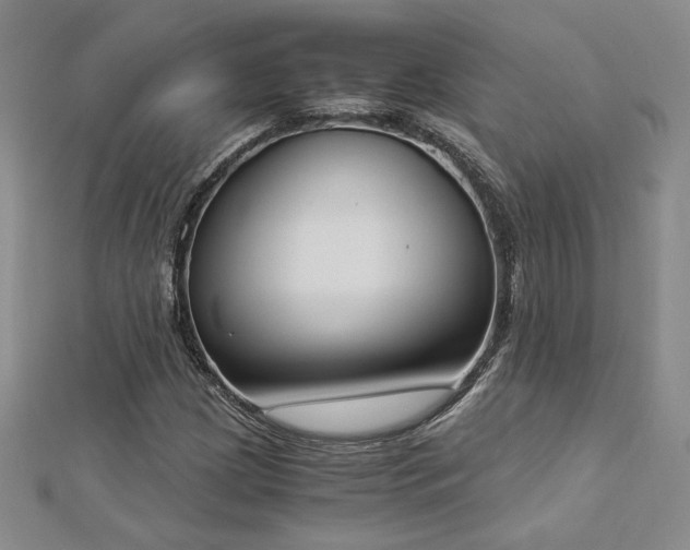 X0000113171209200909041315