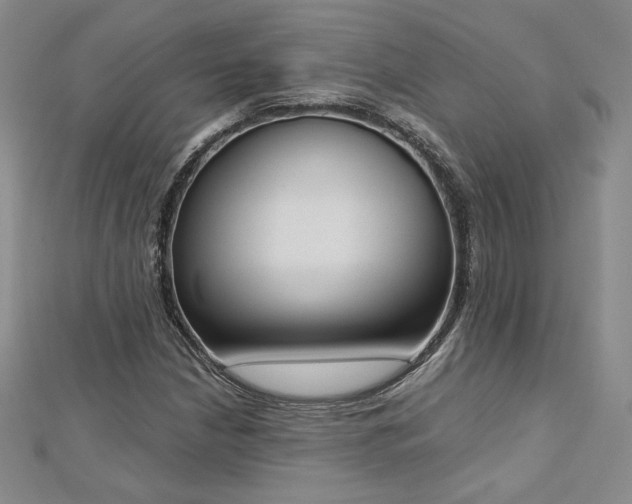 X0000113171210200909041315