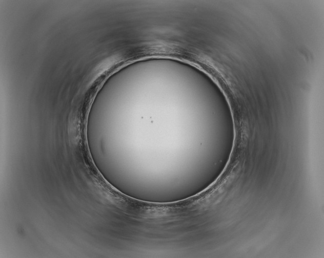 X0000113171211200909041315