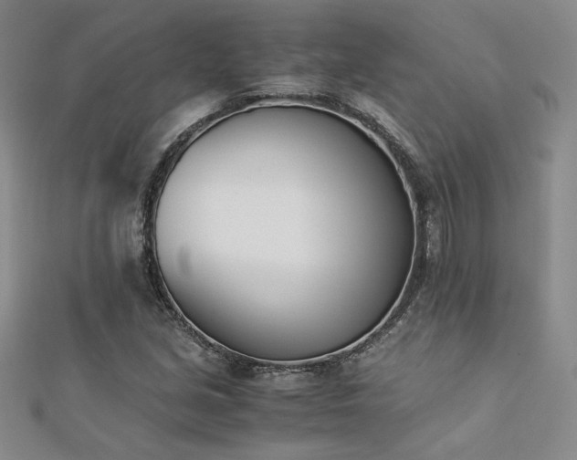 X0000113171213200909041315