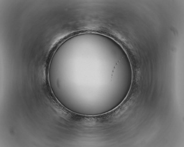 X0000113171214200909041315