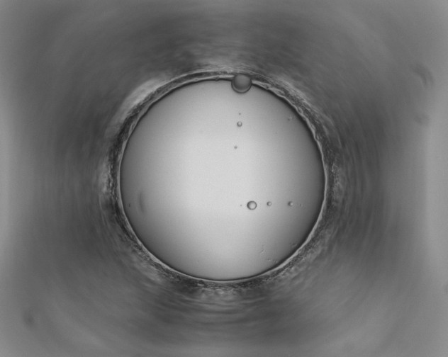 X0000113171215200909041315