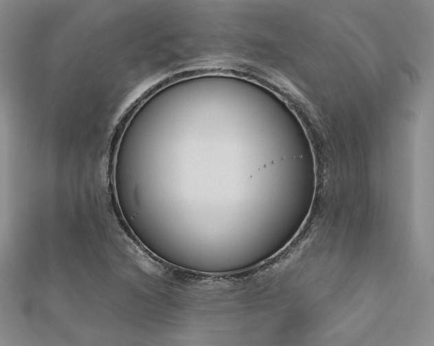 X0000113171216200909041315