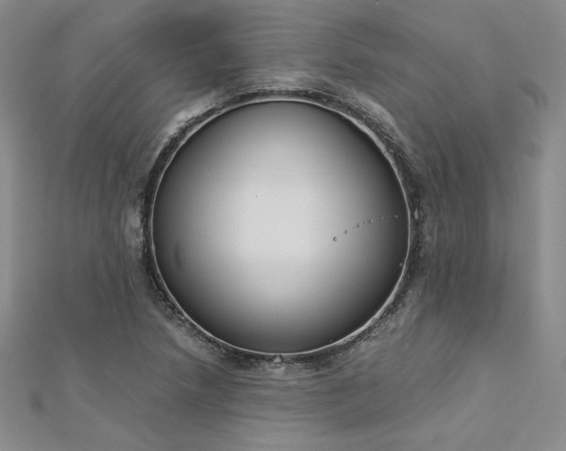 X0000113171218200909041315