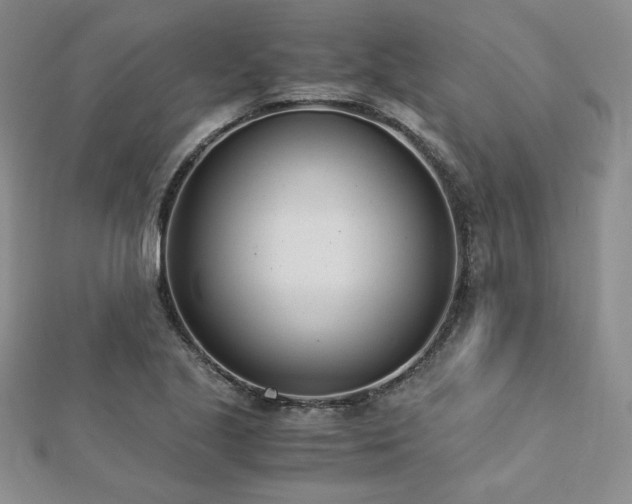 X0000113171221200909041315