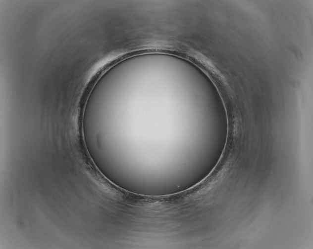 X0000113171222200909041315