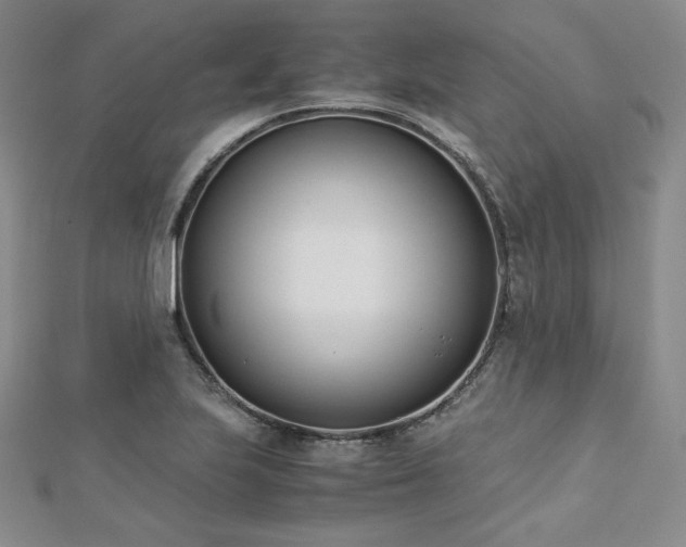X0000113171223200909041315