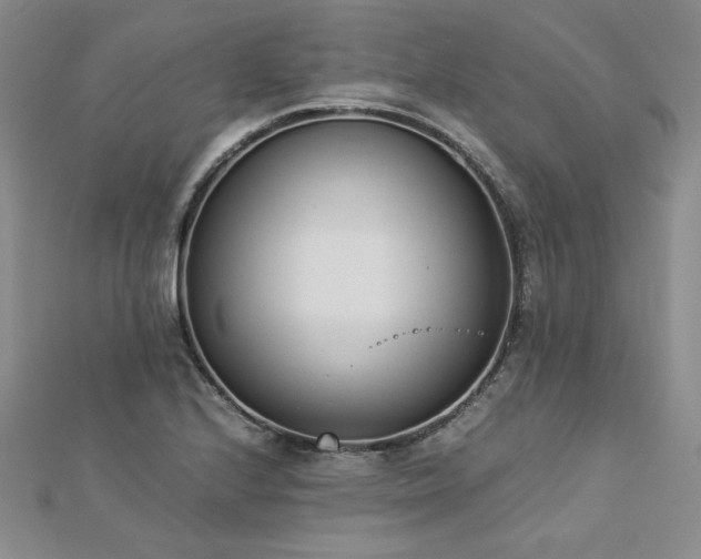 X0000113171224200909041315