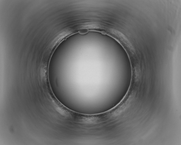X0000113171225200909041315