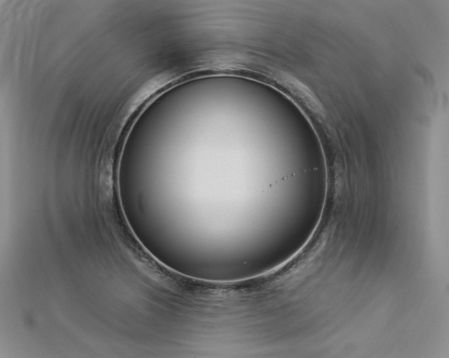 X0000113171226200909041315