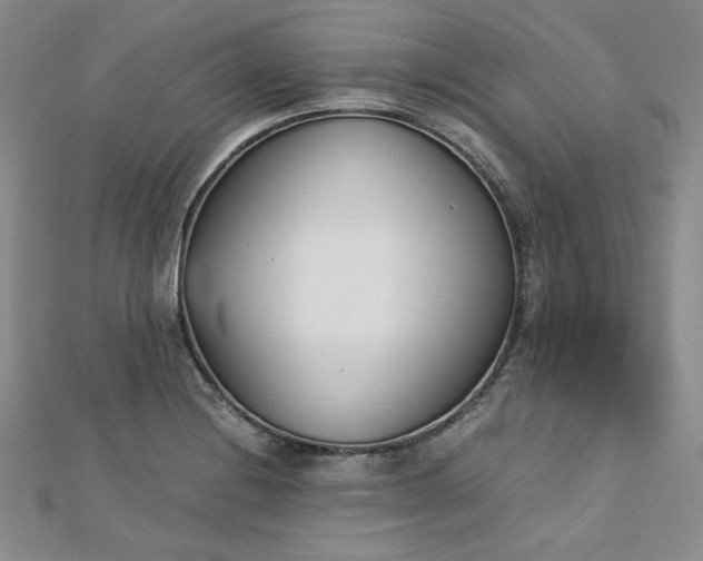 X0000113171228200909041315