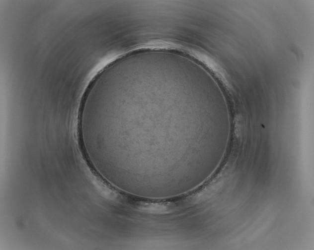 X0000113171229200909041315