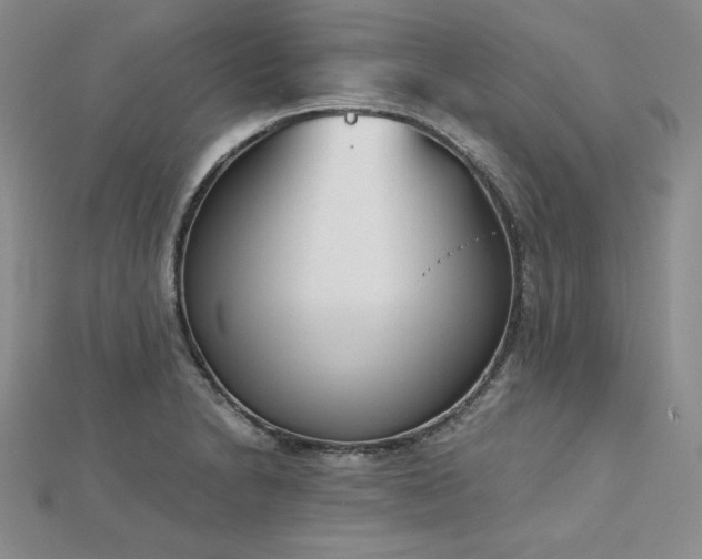 X0000113171230200909041315