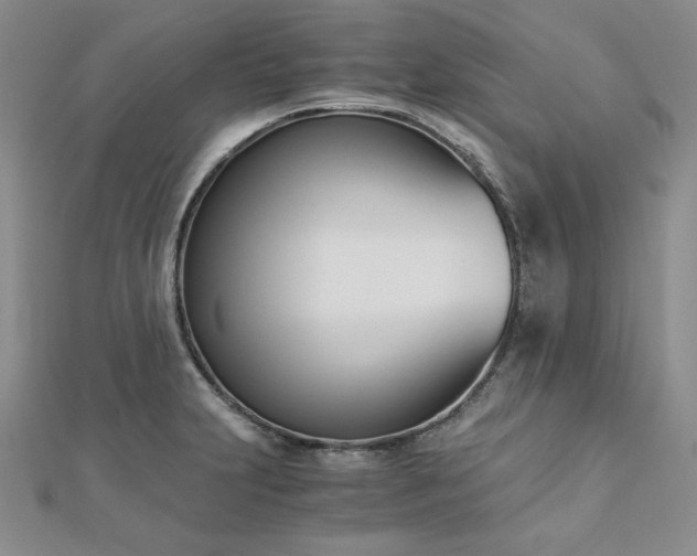X0000113171231200909041315