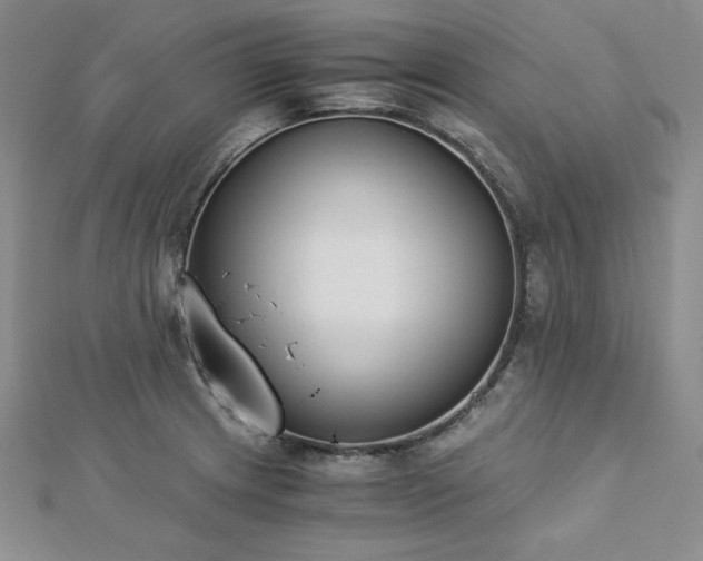X0000113171233200909041315
