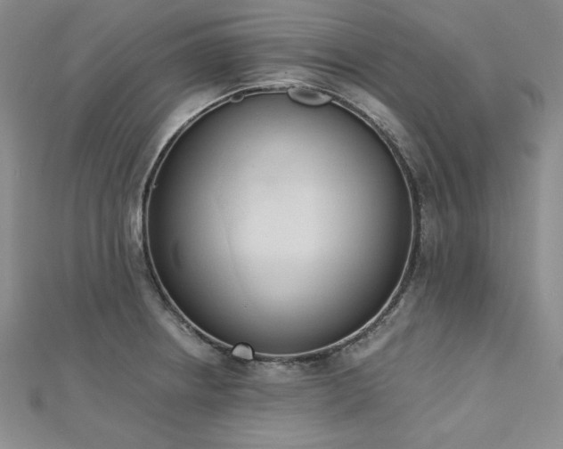 X0000113171234200909041315