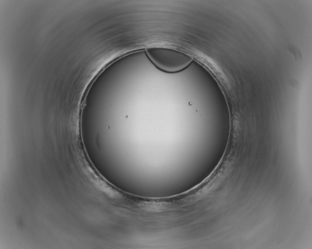X0000113171236200909041315