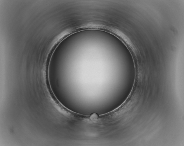 X0000113171237200909041315