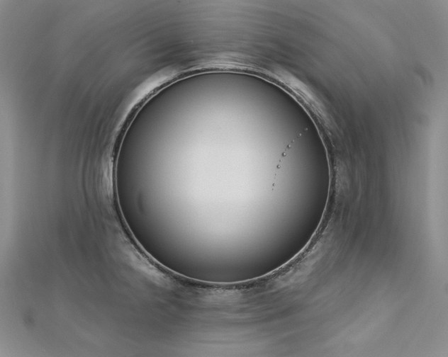 X0000113171238200909041315