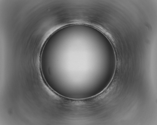 X0000113171239200909041315