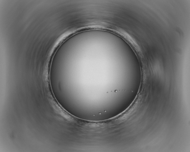 X0000113171240200909041315