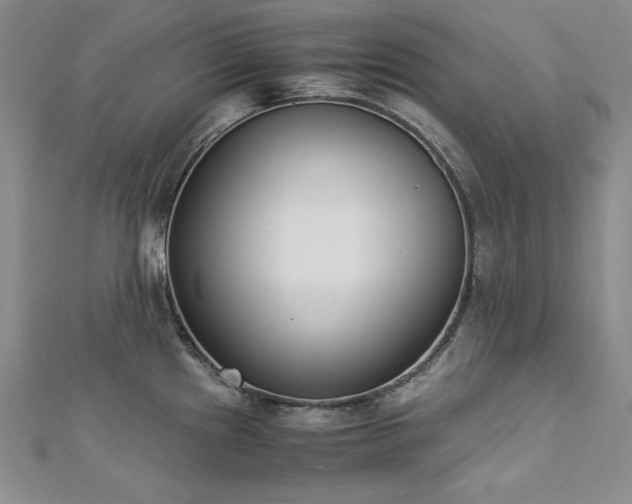 X0000113171241200909041315
