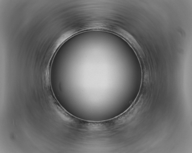 X0000113171242200909041315