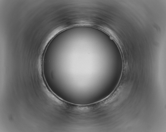 X0000113171243200909041315