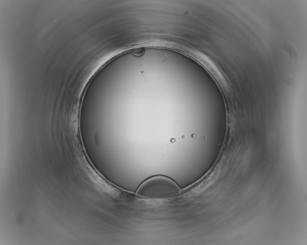 X0000113171244200909041315