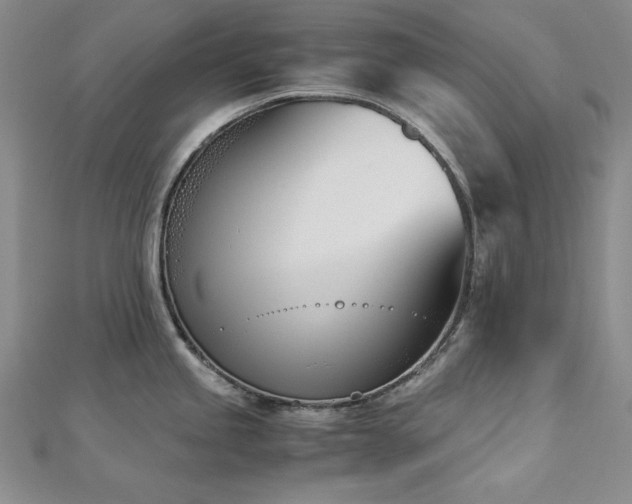 X0000113171245200909041315