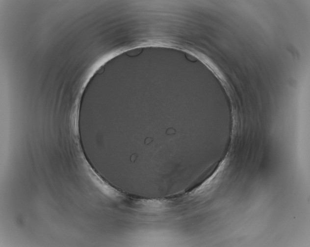 X0000113171246200909041315