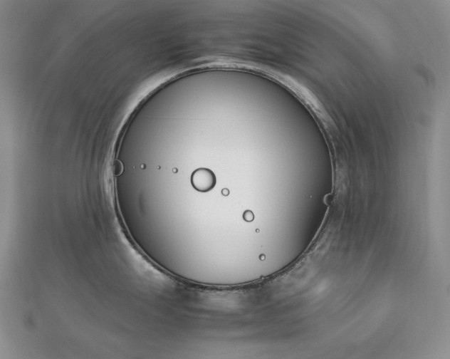 X0000113171247200909041315