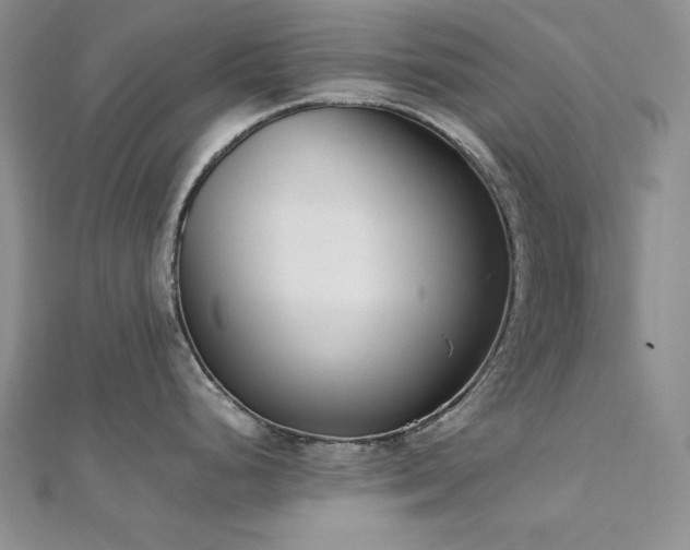 X0000113171248200909041315