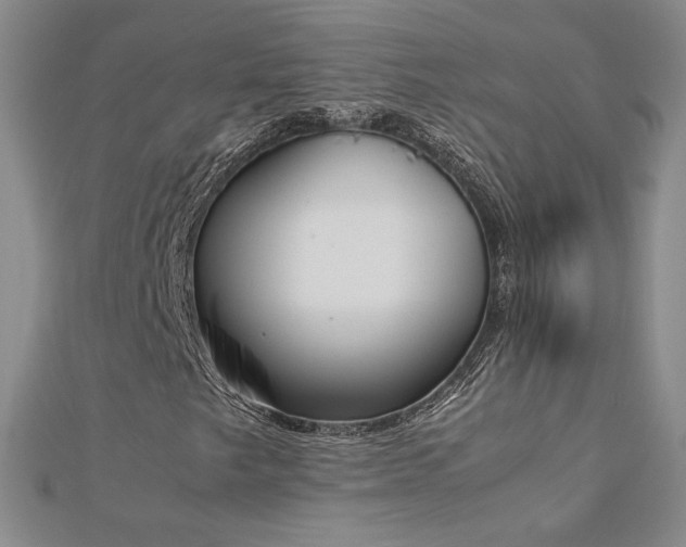 X0000113171249200909041315