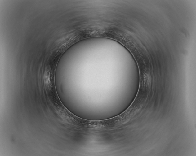 X0000113171250200909041315