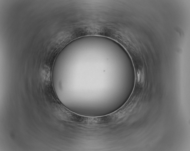X0000113171251200909041315