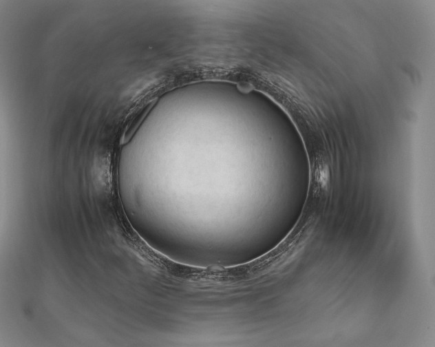 X0000113171252200909041315