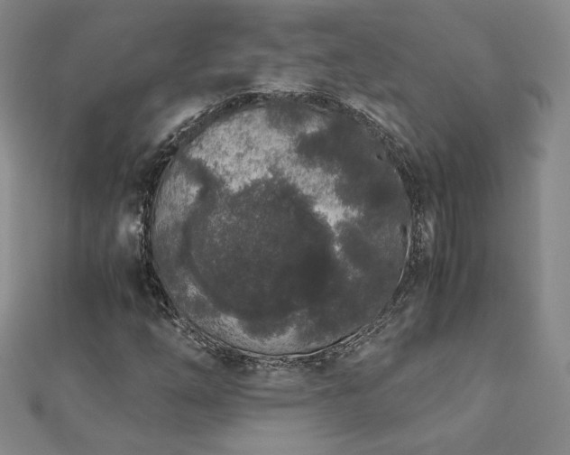X0000113171254200909041315