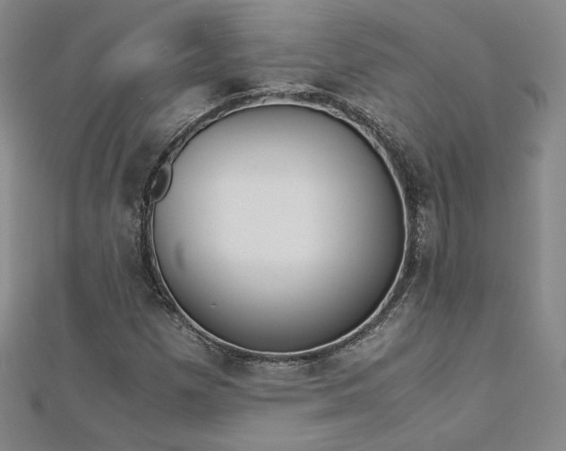 X0000113171257200909041315