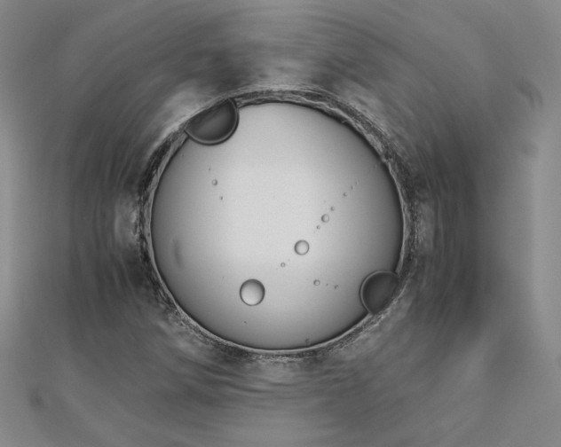 X0000113171258200909041315
