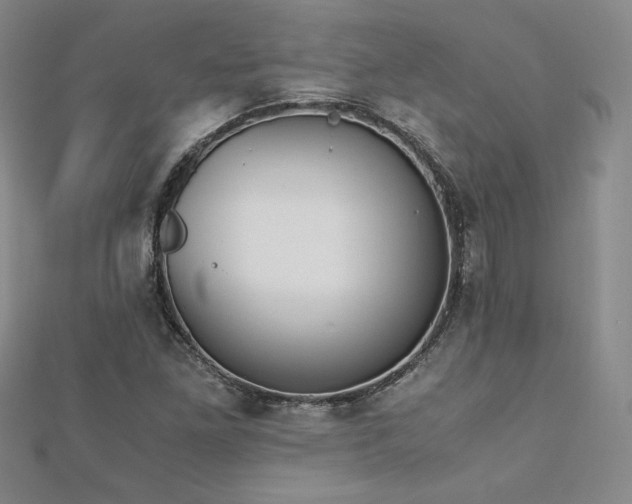 X0000113171261200909041315