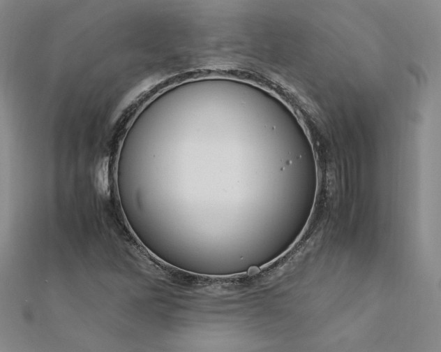 X0000113171262200909041315