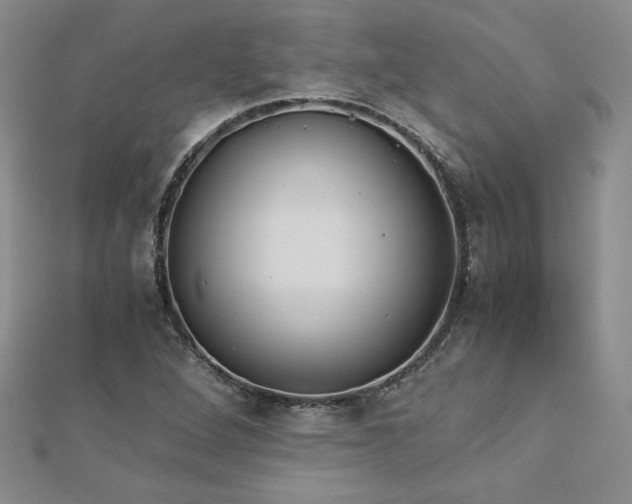 X0000113171264200909041315