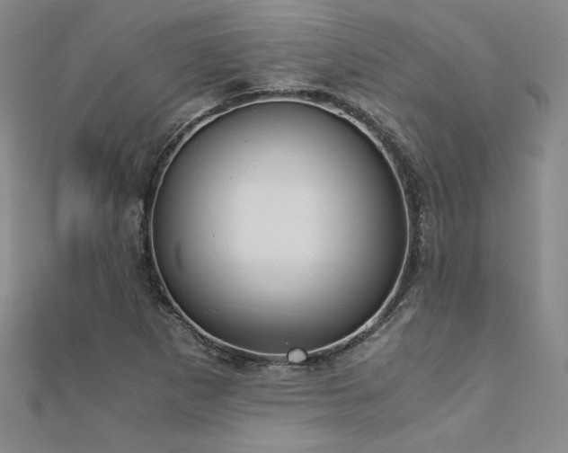 X0000113171265200909041315